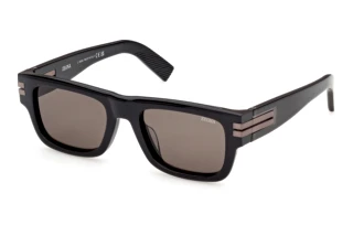 Vorderansicht Zegna EZ0317 (05E)