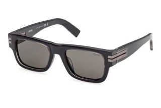 Vorderansicht Zegna EZ0317 (20D)