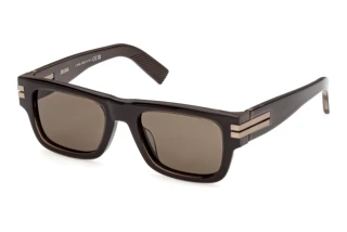 Vorderansicht Zegna EZ0317 (50N)
