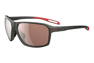 evil eye E011 6500 browndark grey m/LST grey sil