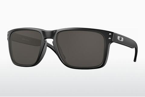Sonnenbrille Oakley HOLBROOK XL (OO9417 941701)