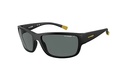Sonnenbrille Arnette BUSHWICK (AN4256 01/81)