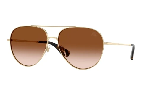 Sonnenbrille Burberry BE3172 110913