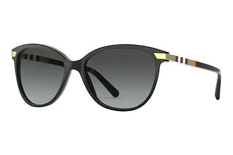 Sonnenbrille Burberry BE4216 3001T3