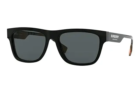 Sonnenbrille Burberry BE4293 377381