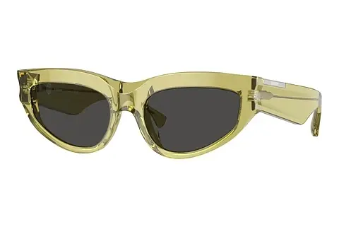 Sonnenbrille Burberry BE4425U 411887