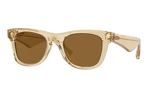 Sonnenbrille Burberry BE4426 412373