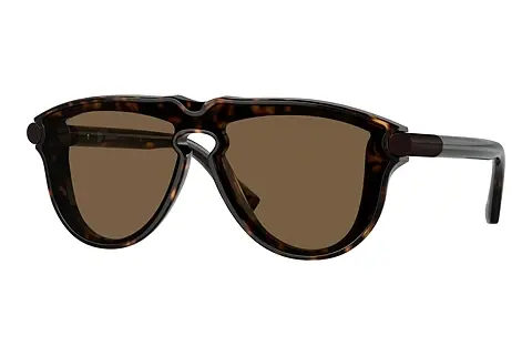 Sonnenbrille Burberry BE4427 300273