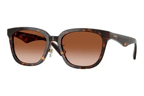 Sonnenbrille Burberry BE4446D 300213