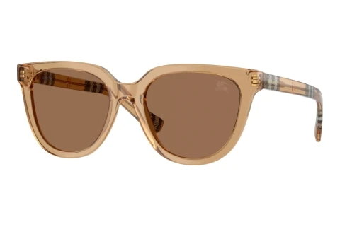 Sonnenbrille Burberry BE4469 416473