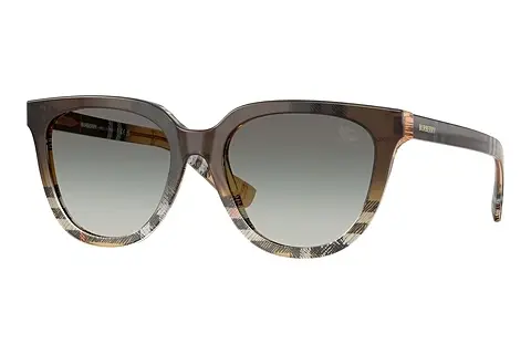 Sonnenbrille Burberry BE4469 420211