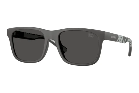 Sonnenbrille Burberry BE4499U 426487