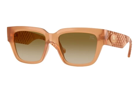 Sonnenbrille Burberry BE4506U 426613