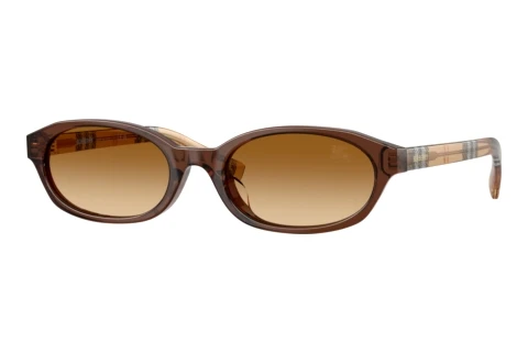 Sonnenbrille Burberry BE4508D 424313