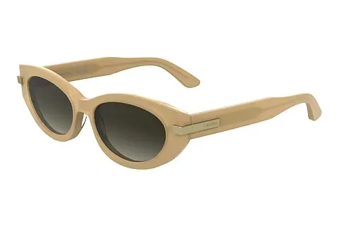 Sonnenbrille Calvin Klein CK25502S 209