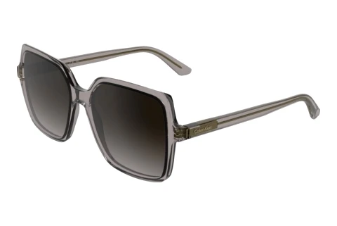 Sonnenbrille Calvin Klein CK25537S 260