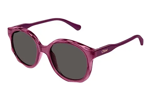 Sonnenbrille Chloé CC0019S 003