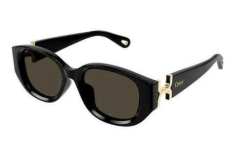 Sonnenbrille Chloé CH0237SK 001