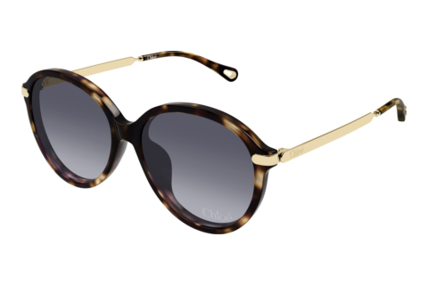 Sonnenbrille Chloé CH0358SK 002