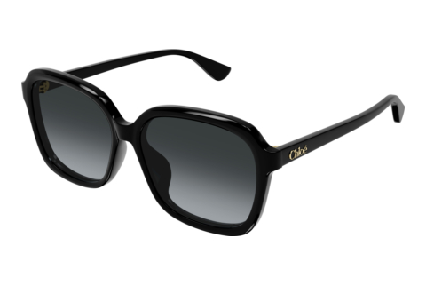 Sonnenbrille Chloé CH0390SK 001