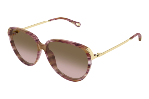 Sonnenbrille Chloé CH0406S 002