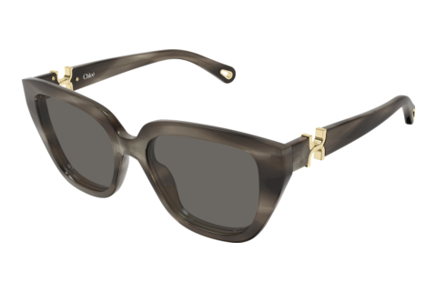 Sonnenbrille Chloé CH0410S 002