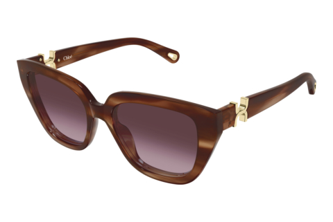 Sonnenbrille Chloé CH0410S 003