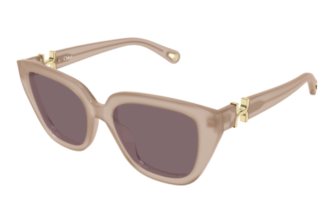 Sonnenbrille Chloé CH0410S 005