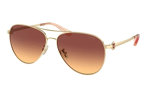 Sonnenbrille Coach C6178 (HC7128 900578)