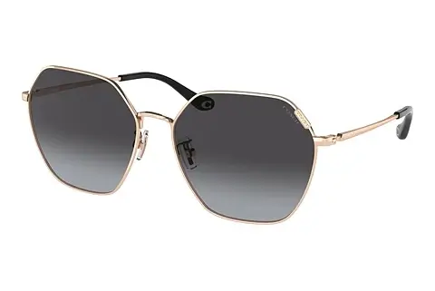 Sonnenbrille Coach C7998 (HC7132 93318G)