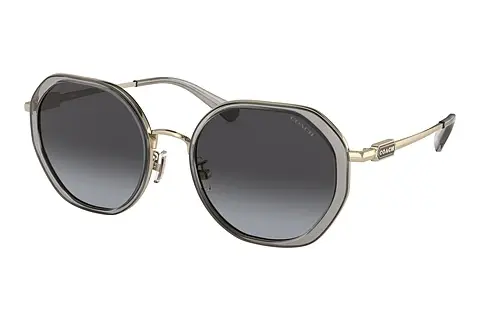 Sonnenbrille Coach CD477 (HC7141 90058G)