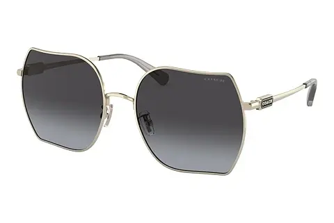 Sonnenbrille Coach CD476 (HC7142 90058G)