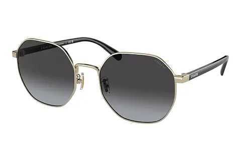 Sonnenbrille Coach CH556 (HC7147 90058G)