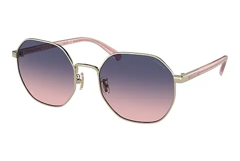 Sonnenbrille Coach CH556 (HC7147 9005I6)