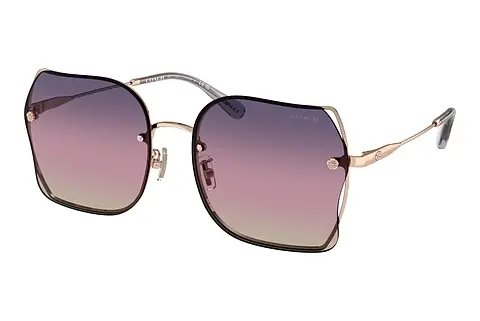 Sonnenbrille Coach CH574 (HC7150D 9331U6)
