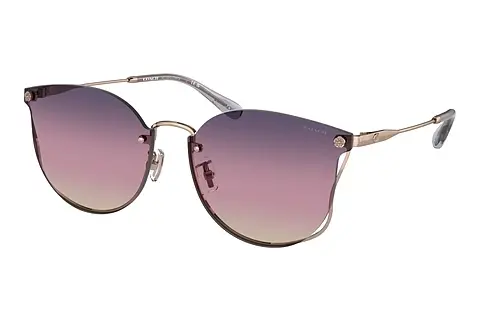 Sonnenbrille Coach CH573 (HC7151D 9331U6)
