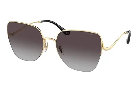 Sonnenbrille Coach CL904 (HC7156D 90053C)