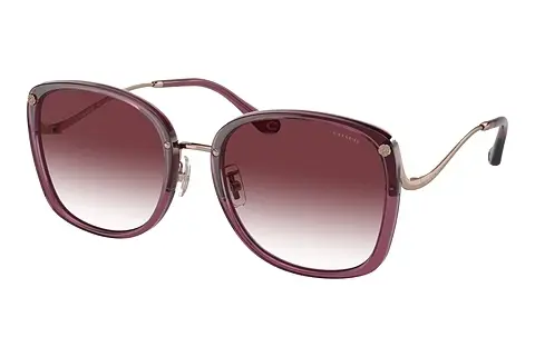 Sonnenbrille Coach CL905 (HC7157D 58013P)
