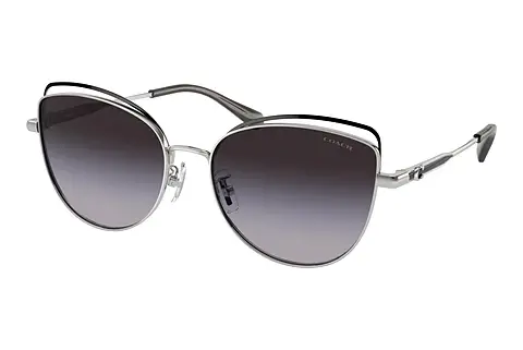Sonnenbrille Coach CR621 (HC7162 90018G)