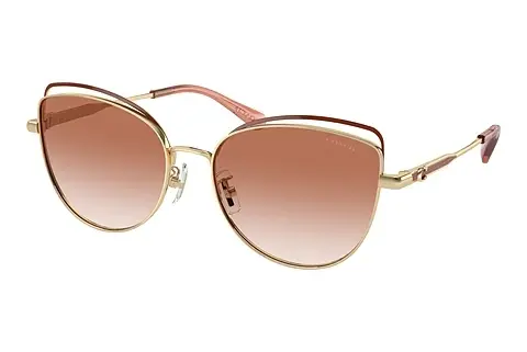 Sonnenbrille Coach CR621 (HC7162 900513)