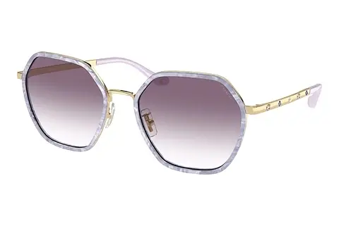 Sonnenbrille Coach CS543 (HC7167B 94468H)