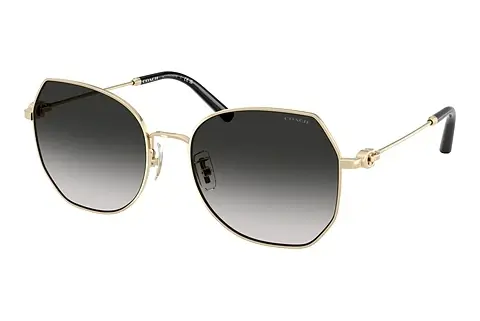 Sonnenbrille Coach CAD79 (HC7175 90053C)