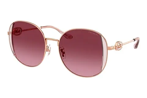 Sonnenbrille Coach CAD73 (HC7176B 93318H)
