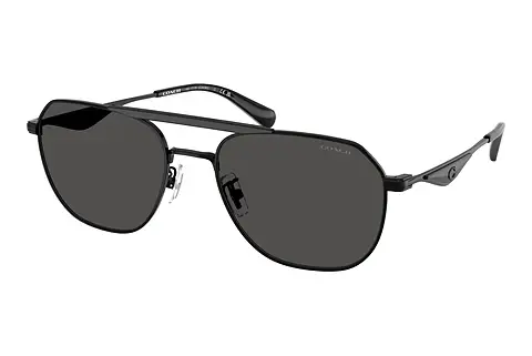 Sonnenbrille Coach CAE80 (HC7178 939387)