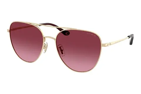 Sonnenbrille Coach CBZ89 (HC7182 90058H)