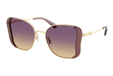 Sonnenbrille Coach CDP51 (HC7188 900570)