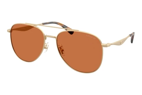Sonnenbrille Coach CDP40 (HC7190 900573)
