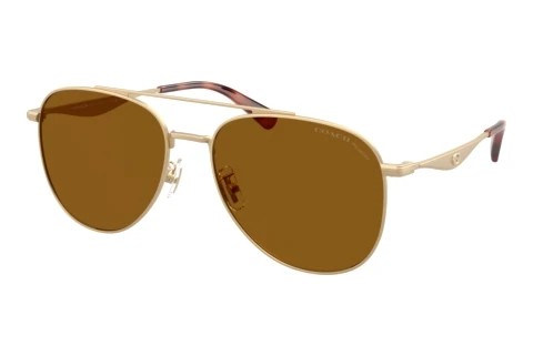 Sonnenbrille Coach CDP40 (HC7190 900583)