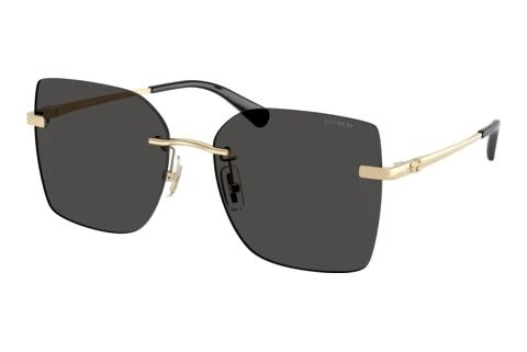 Sonnenbrille Coach CDP45 (HC7193D 900587)