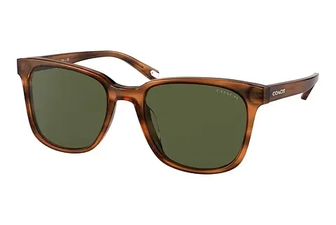 Sonnenbrille Coach C2095 (HC8313U 558171)
